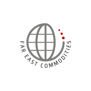 FEC logo
